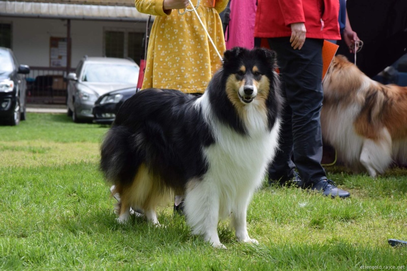 chropyne2023_elegantlucy.jpg