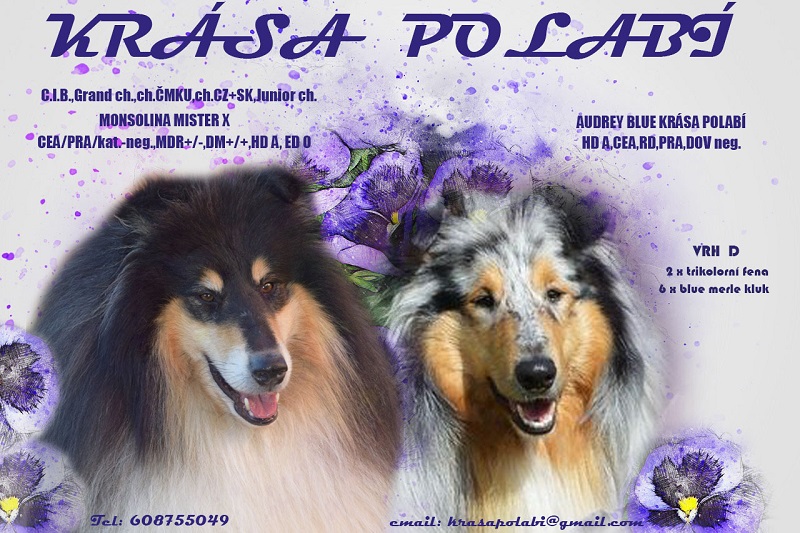 krasa polabi