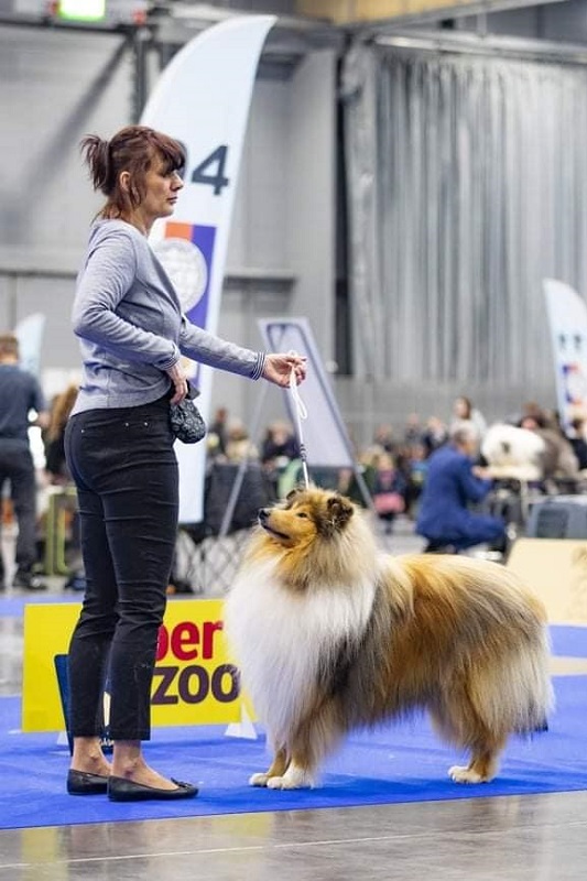 ostrava1