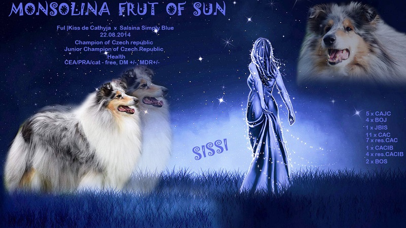 sissi plakat