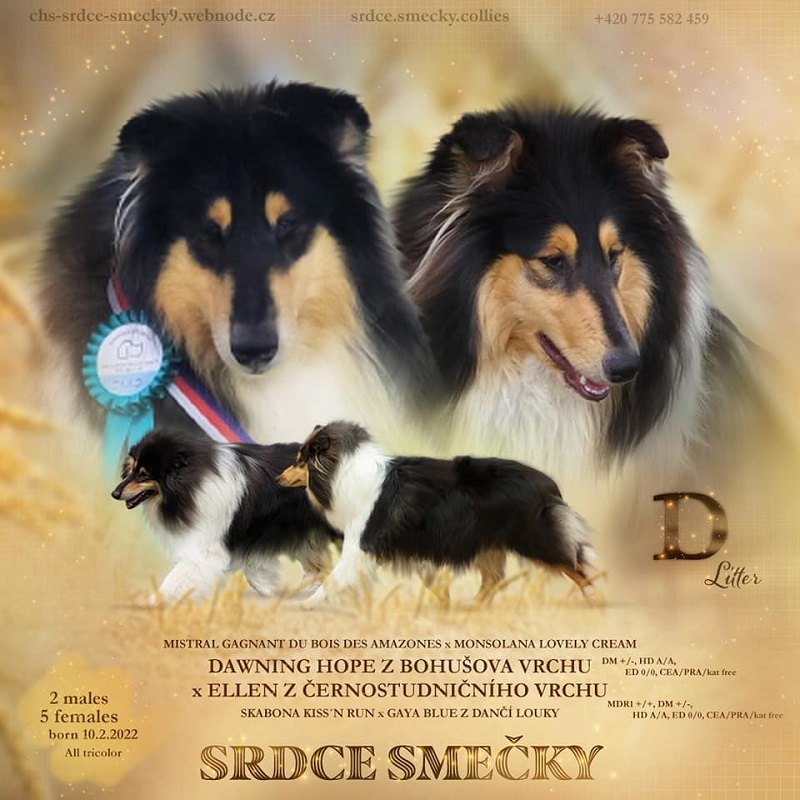 srdce
